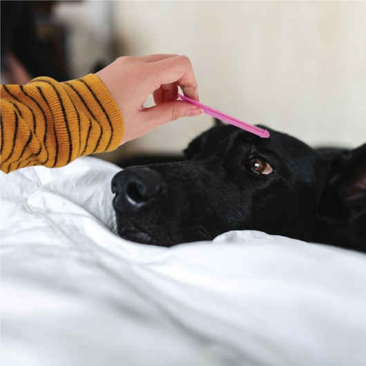 Pet Flea Combs Black Dog